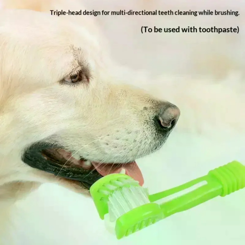 Трехсторонняя зубная щетка для – обзор и цена Teeth Whitening Mouthwash